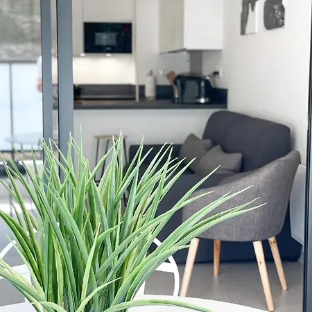 T2 Neuf Terrasse Pres Des Plages Saint-Cyr-sur-Mer Esterno foto